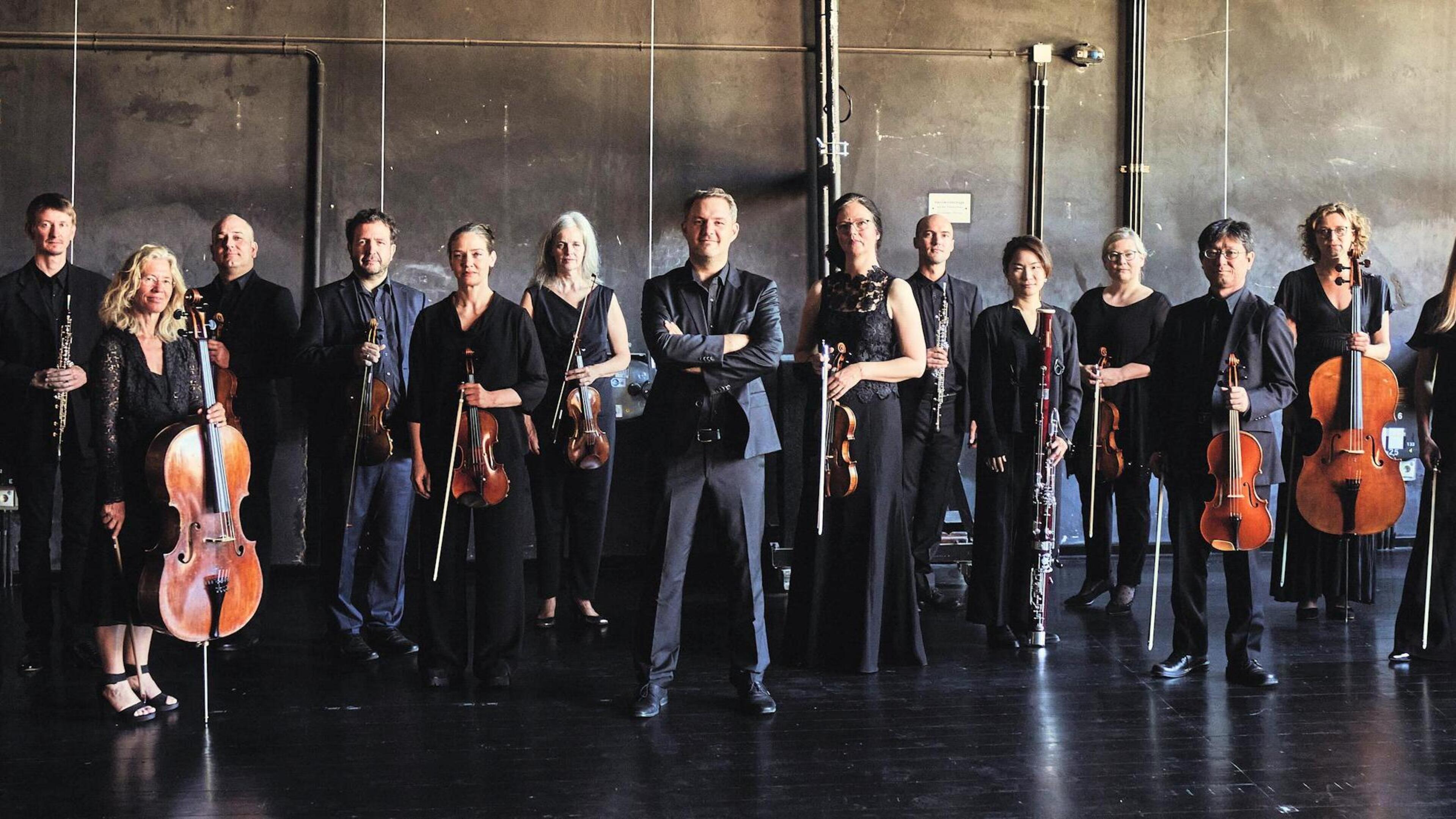 Heidelberger Sinfoniker: 